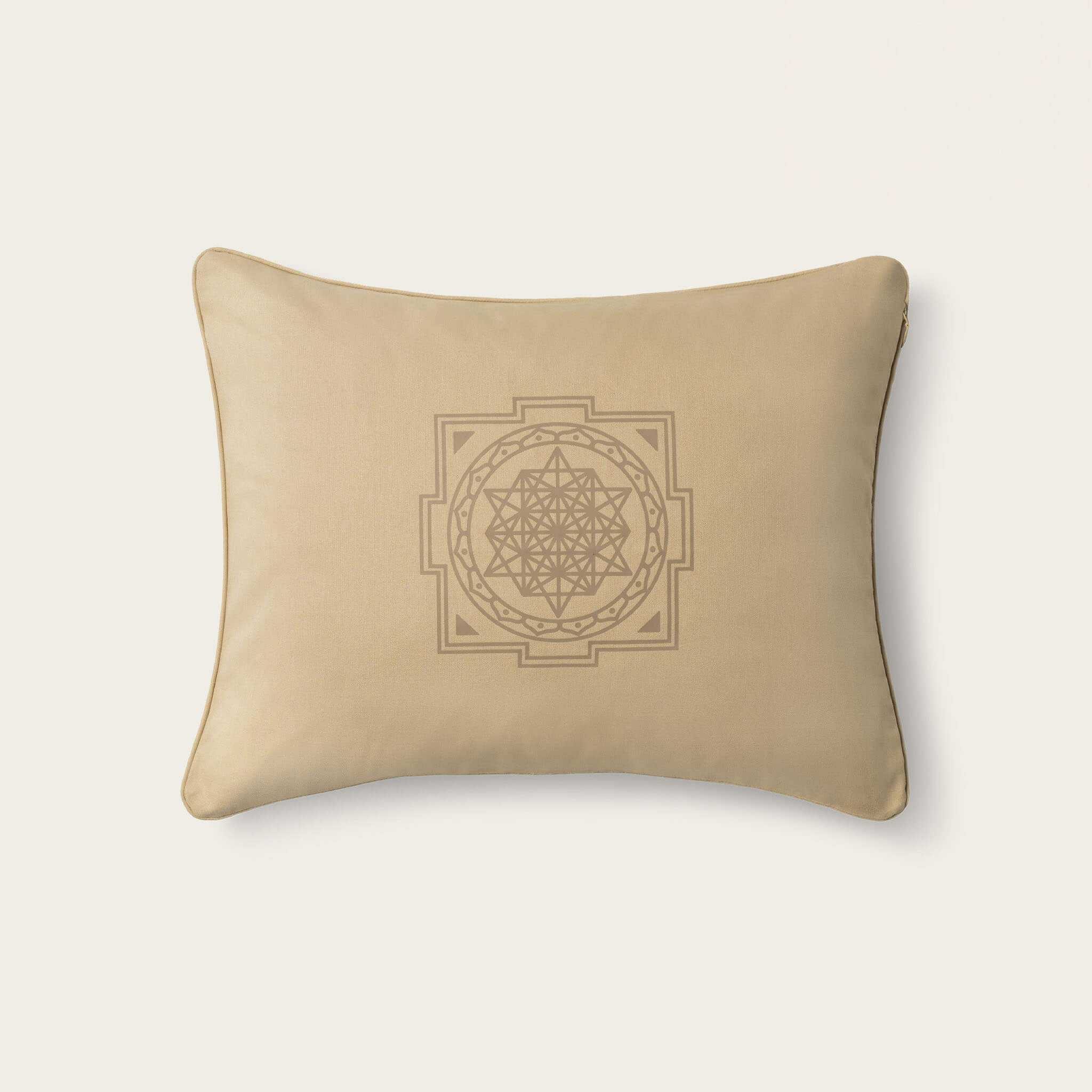 Premium Acupressure Pillow