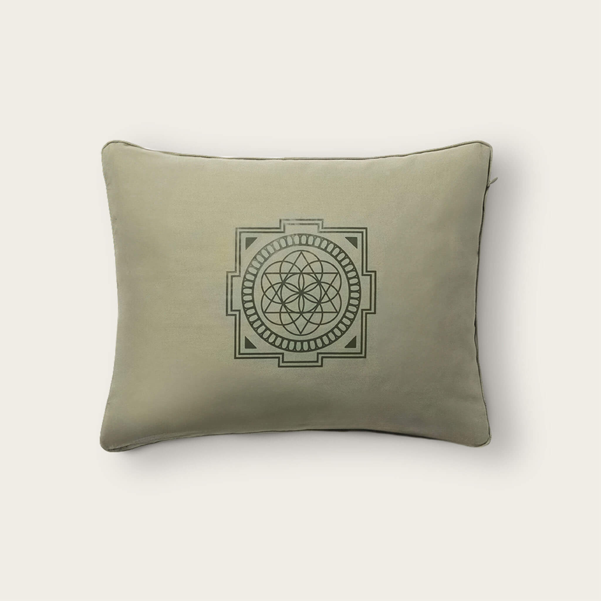 Premium Acupressure Pillow